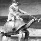 Turtle Ride
