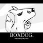Boxdog