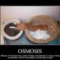 Osmosis Cat
