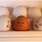 Angry Racist Eggs
