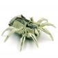 One Dollar Bill Spider