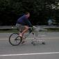 Shopping Cart Bike