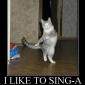 I Like To Sing-a