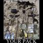 Your Pack
