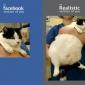 Facebook Pics Explained