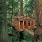 Amazing Tree House