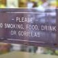 No Smoking, Food, Drink or Gorillas