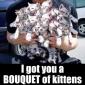 Bouquet of Kittens