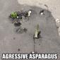 Agressive Asparagus