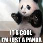 I'm just a panda