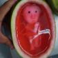 Watermelon Fetus