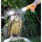 Watering My Owl
