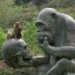 A monkey ponders his origins
