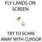 Fly On Screen