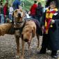 Harry Potter's Three Headed Dog