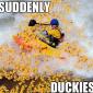 Suddenly Duckies