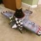 Kitty Pilot
