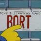 Bort License Plate