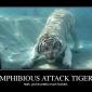 Amphibious Attack Tigers