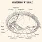 Anatomy of a Tribble