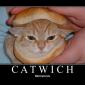 Catwich