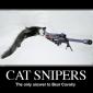 Cat Snipers