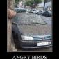 Angry Birds