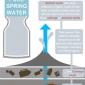 Bottled Water Infographic