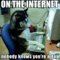 On the internet, nobody knows you're dog