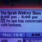 Racist TV guide