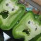 The Horror of Slices Peppers