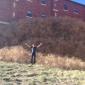 That's a really big pile of tumbleweeds