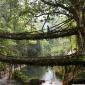 Natural Bridges of Nongriat in Meghalaya