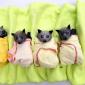 Bat Burritos