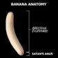 Anatomy of a Banana