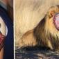 Amazing Lion Tattoo