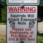 Warning: Squirrels Will Attack Exposed Nuts