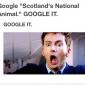 Scotland's National Animal - Google It!