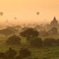 Forest Hot Air Balloons