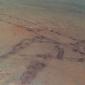 Our "footprints" on Mars