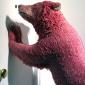 Grizzly bear - made entirely from chewing gum