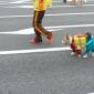 I wish I was a dog just so I could wear this costume