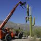 How to hide a cell phone tower in Arizona