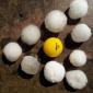 Hail storm that hit Calgary