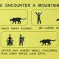 if you encounter a mountain lion; offer any handy small children