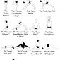 Yoga Positions Explained