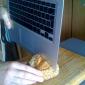 The Macbook Air's best feature