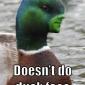 Good Guy Duck