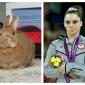 Not impressed McKayla’s equally unimpressed bunny