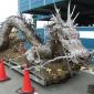 Tree bark dragon in Japan